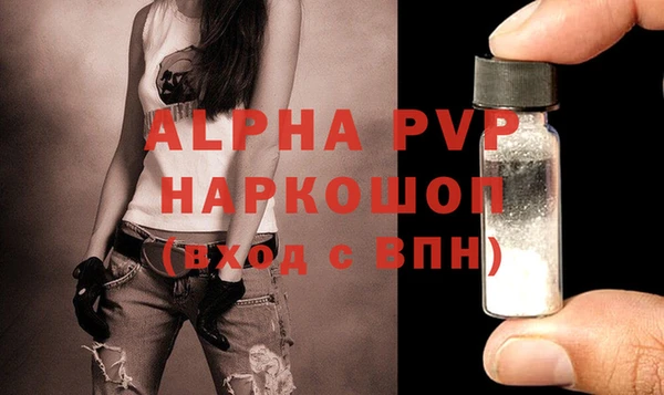 a pvp Аркадак